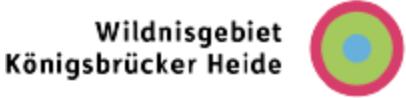 Wildnisgebiet Königsbrücker Heide