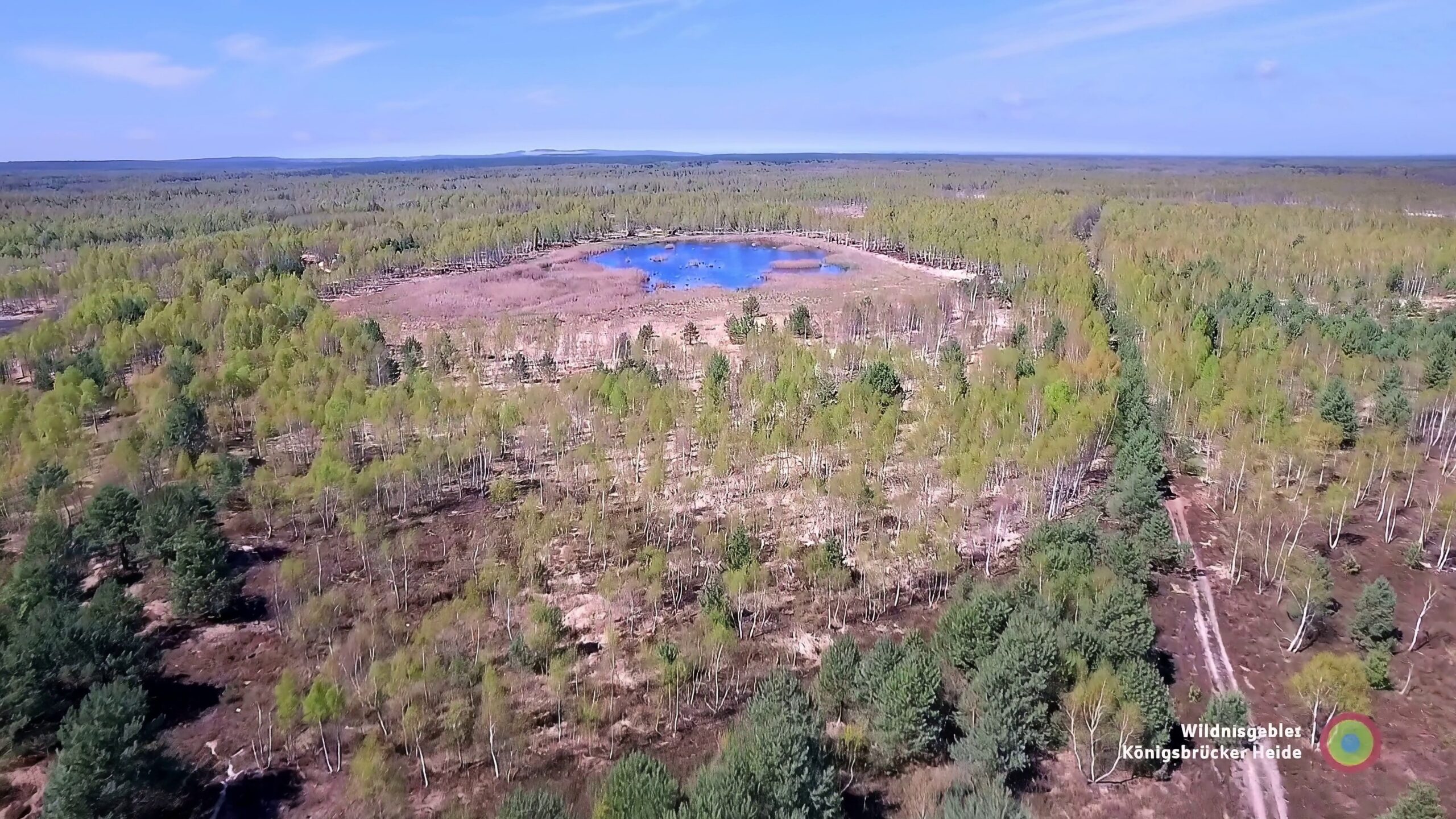 Luftaufnahme der Königsbrücker Heide